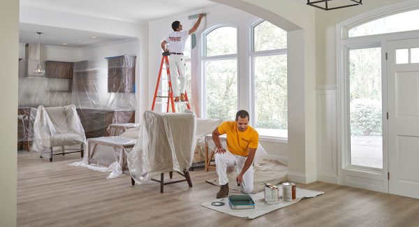 Professional Painting Detail
